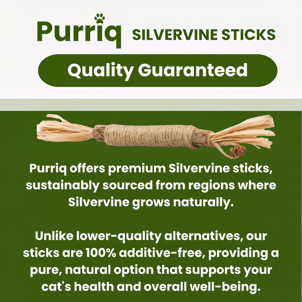 Whisker Wonders™ Silvervine Chew Sticks — Nature’s Toothbrush for Cats