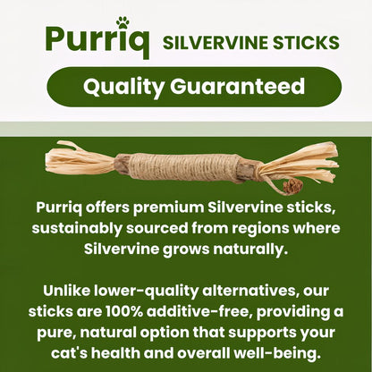 Whisker Wonders™ Silvervine Chew Sticks — Nature’s Toothbrush for Cats