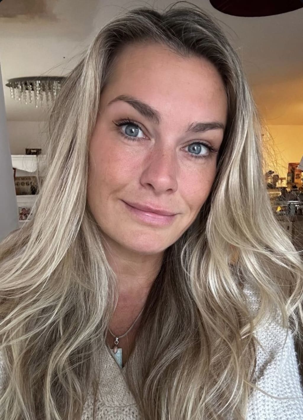 Whisker Wonders™ Silvervine Chew Sticks — Nature’s Toothbrush for Cats