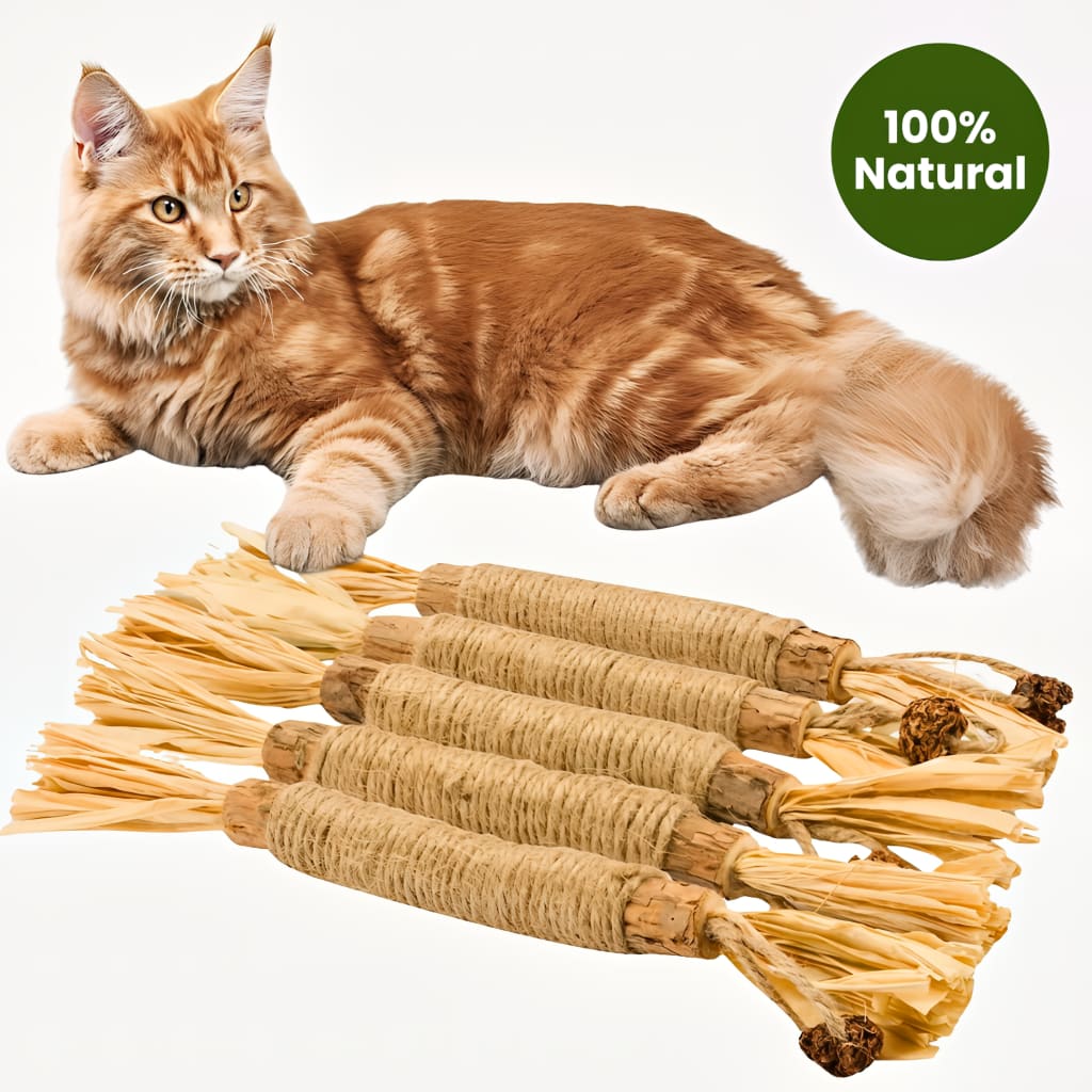 Whisker Wonders™ Silvervine Chew Sticks — Nature’s Toothbrush for Cats