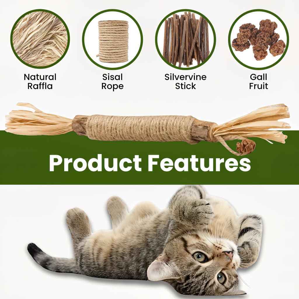 Whisker Wonders™ Silvervine Chew Sticks — Nature’s Toothbrush for Cats