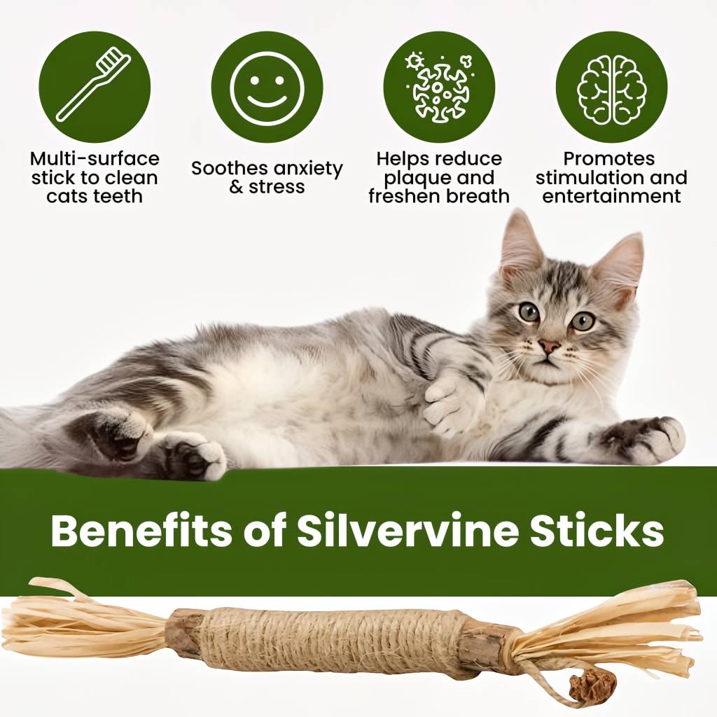 Whisker Wonders™ Silvervine Chew Sticks — Nature’s Toothbrush for Cats