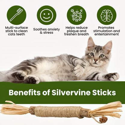 Whisker Wonders™ Silvervine Chew Sticks — Nature’s Toothbrush for Cats