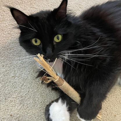 Whisker Wonders™ Silvervine Chew Sticks — Nature’s Toothbrush for Cats